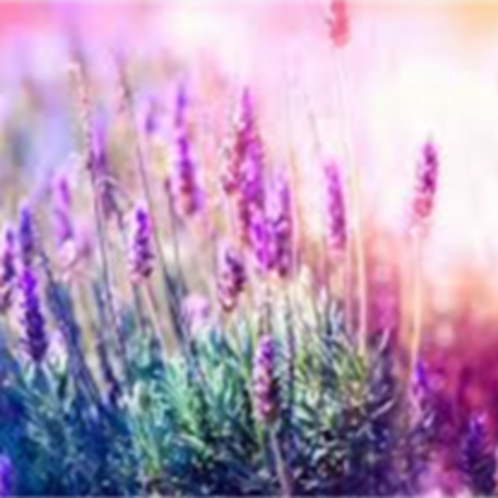 Mary Magdelena Pavon