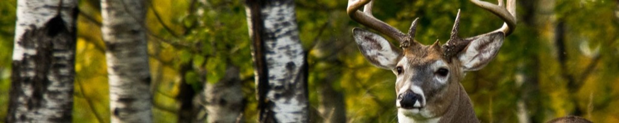 Cover for Scott Michael Cook's Obituary