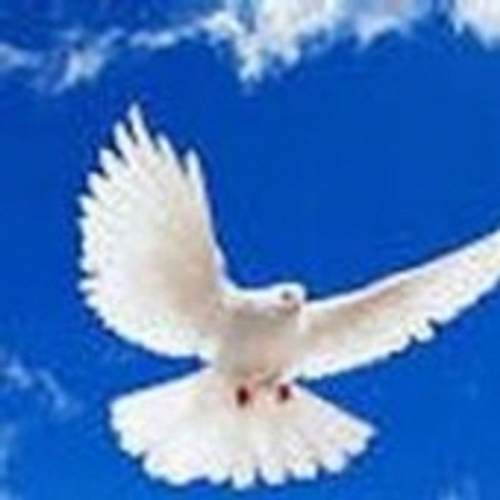 Louise Levy Mitchell