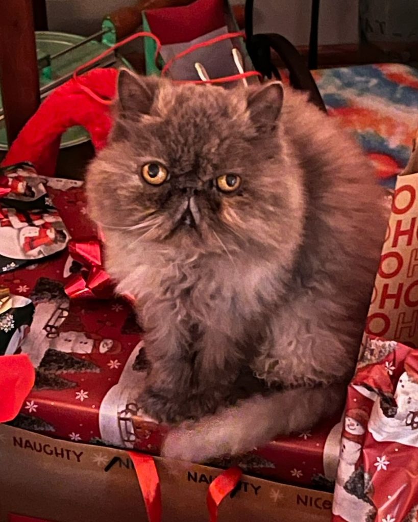 Roxy Annabelle Isley