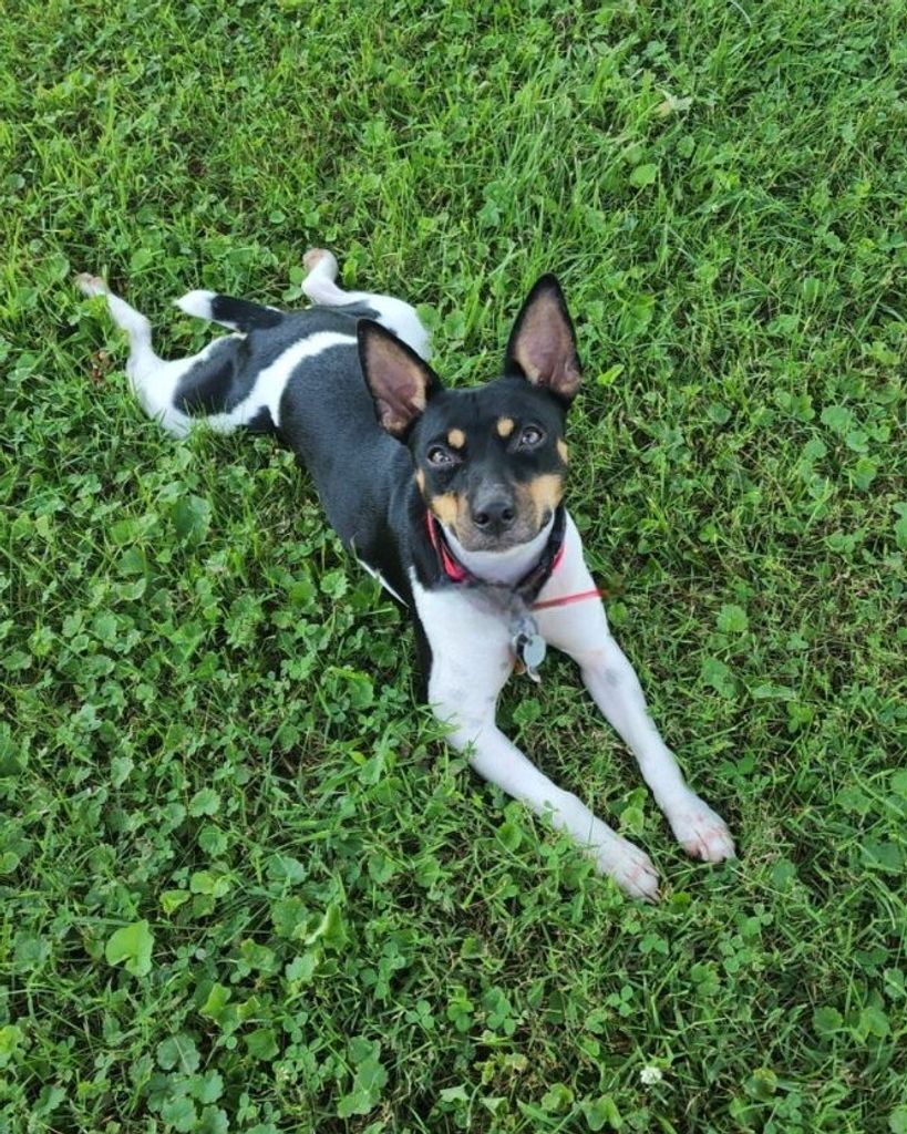 Sydney Flick Anderson