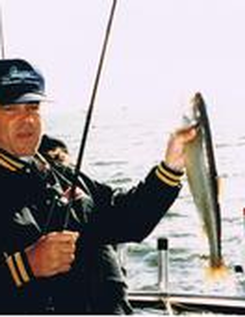 Roger Carpenter Profile Photo
