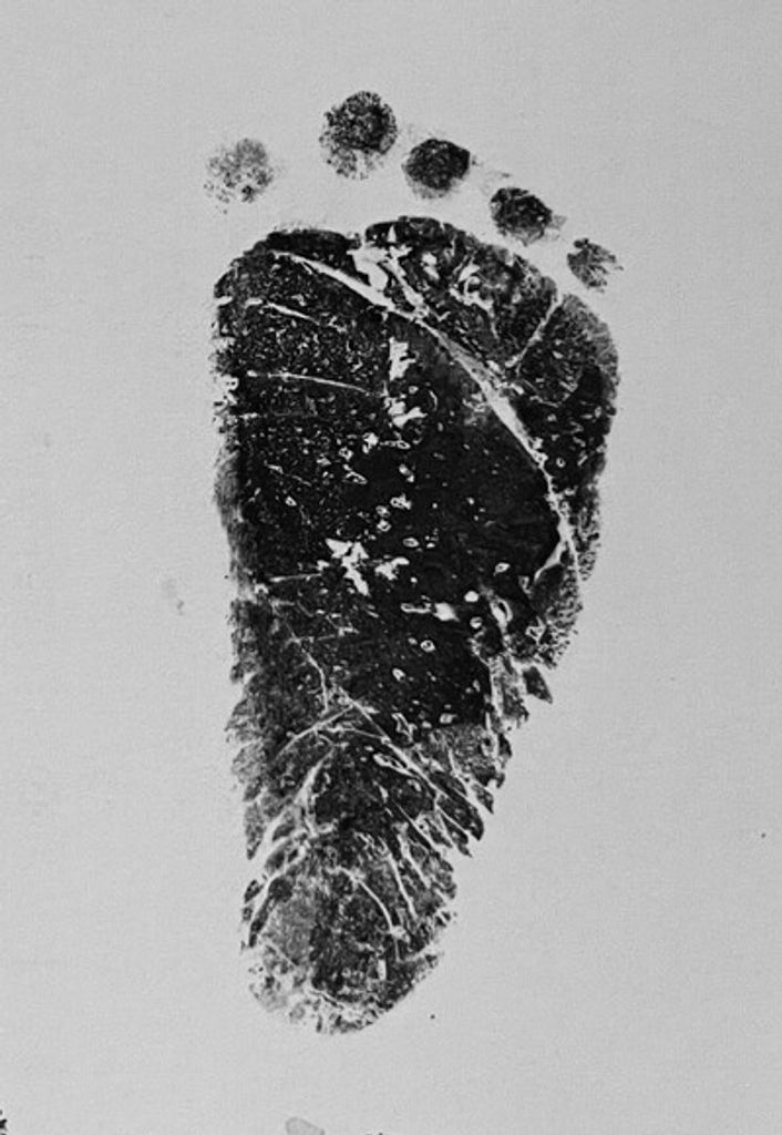 Infant Belle Elan Sneed Profile Photo