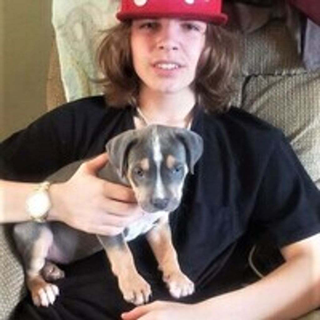 Jacob Jeremy Hansen Profile Photo