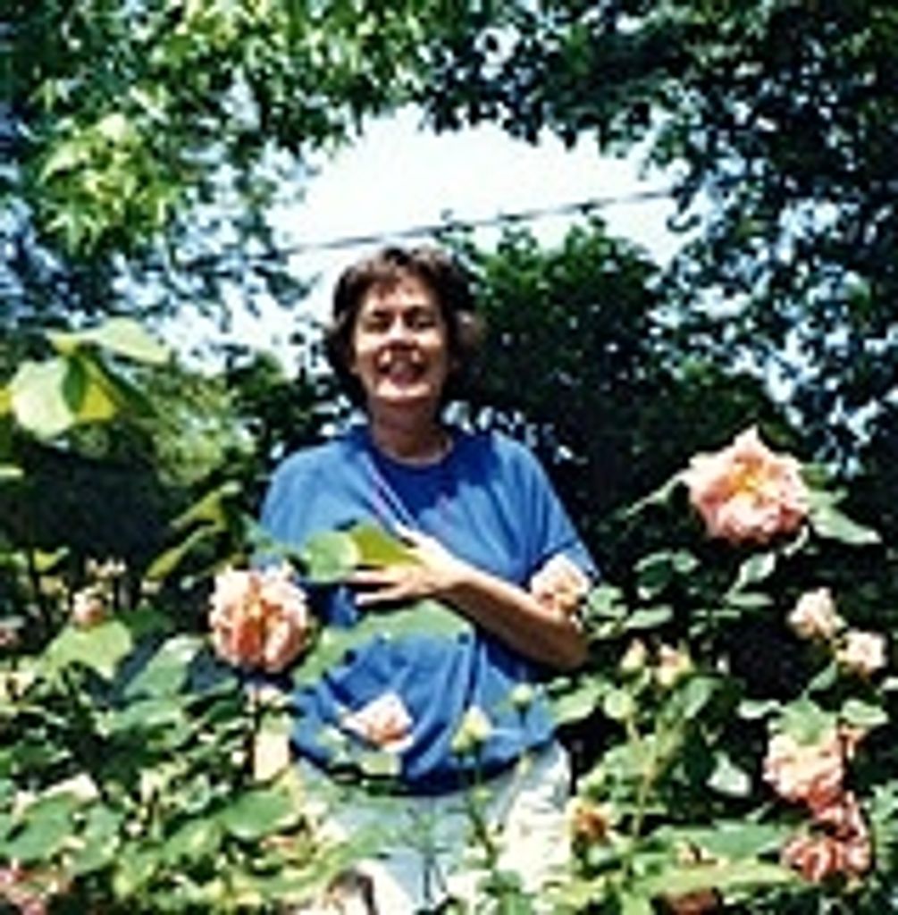 Shirley Anne (Meeker)  Mooney