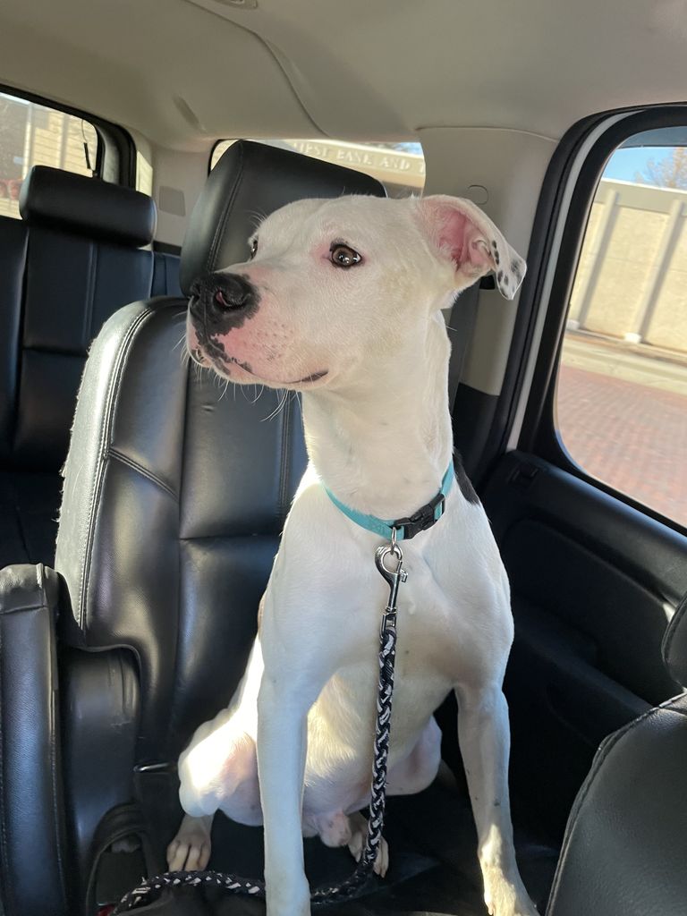 Otis Profile Photo