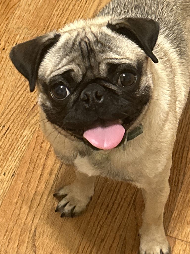 Cami Profile Photo