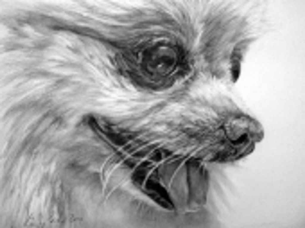 Bella Thomas Profile Photo