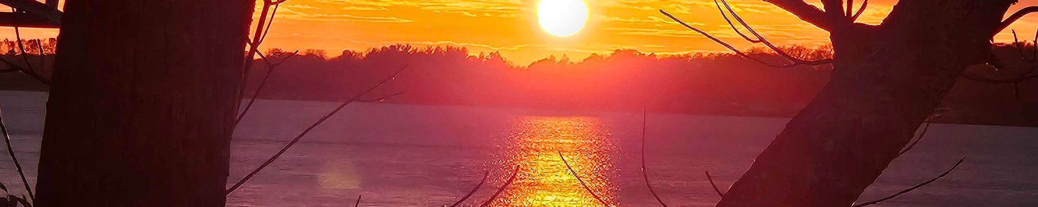 Cover for Pamela Jean Weber's Obituary