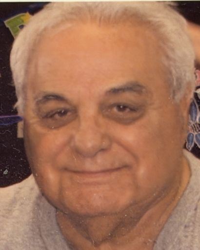 Peter H. Cuccinello Profile Photo