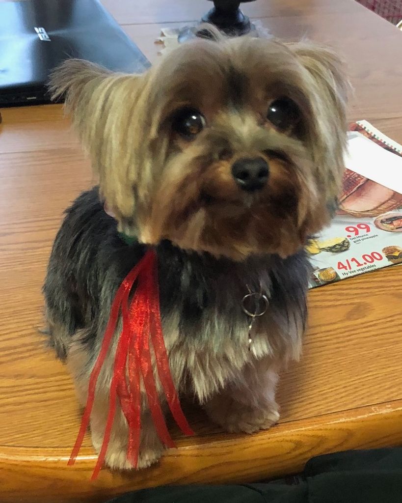 Maggie Tuma Profile Photo
