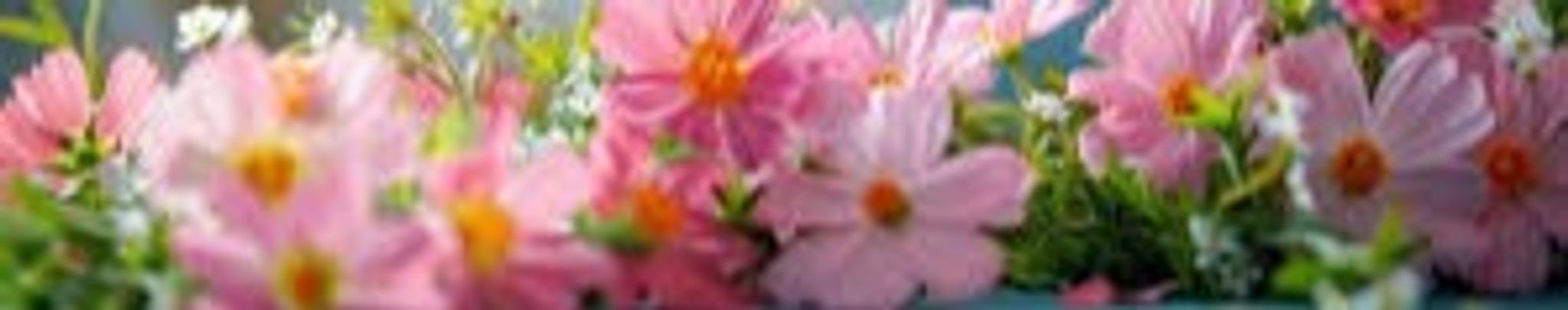Cover photo for Judyth "Judy" Garcia's Obituary