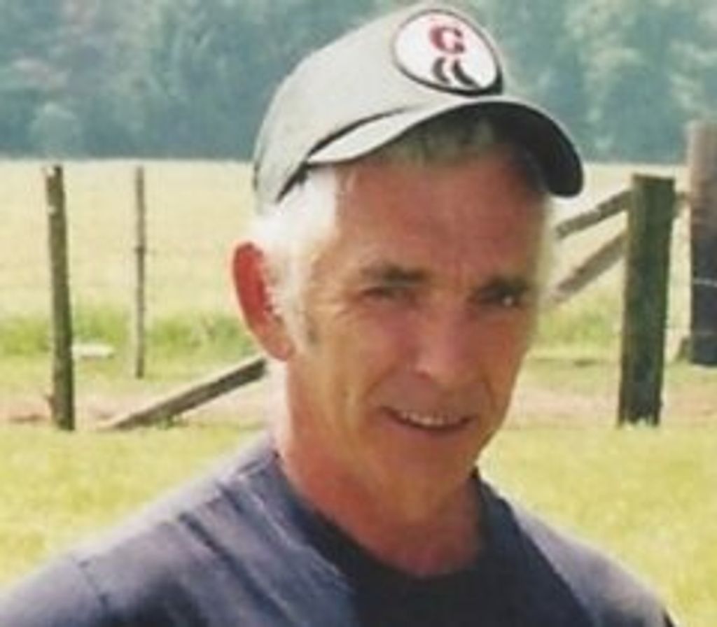 David C. Shaut
