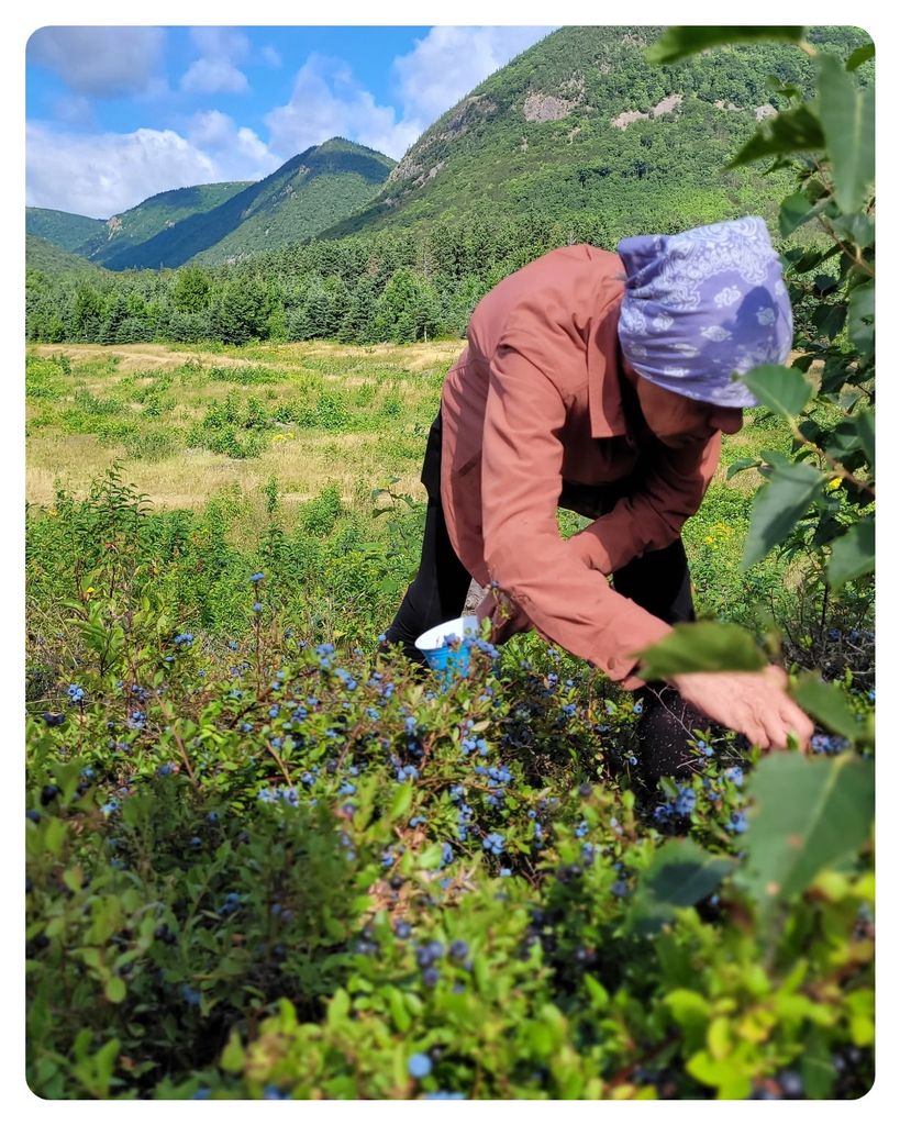 Mary Alice Daisley Profile Photo