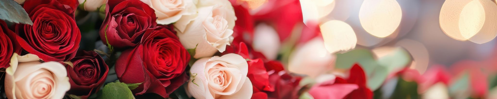 Cover photo for Theresa Schappert Murphy's Obituary