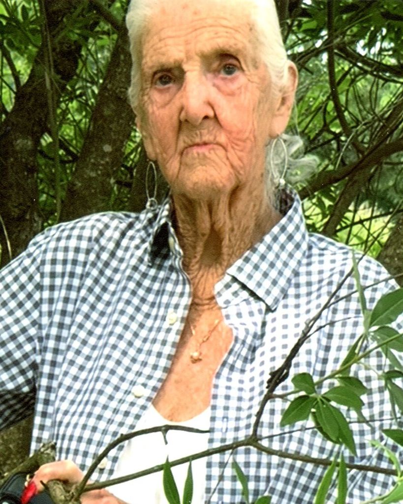 Linda Ellen Shelander Profile Photo