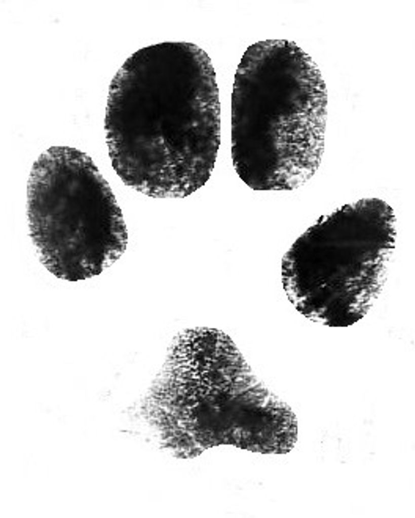 Perry Siemer Profile Photo