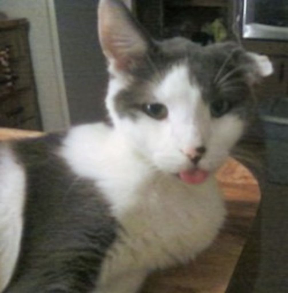 Spanks Arpke Profile Photo