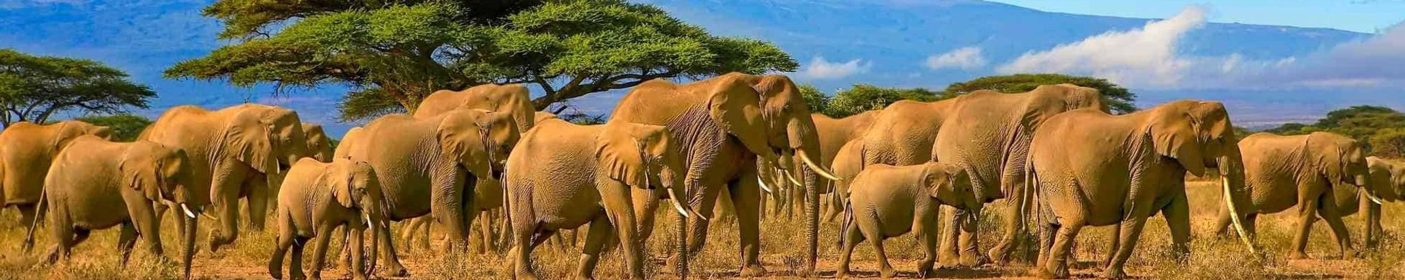 Cover for Kyle Chaz Christensen's Obituary