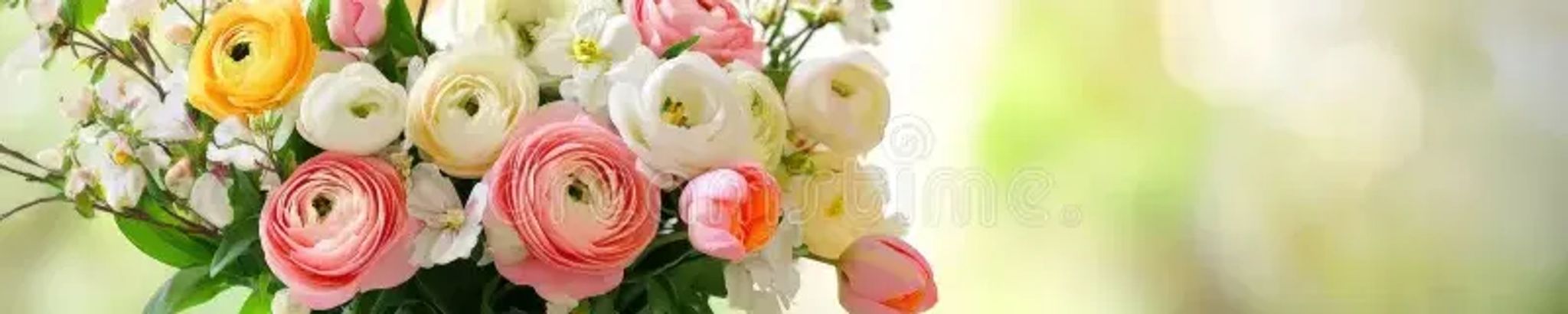 Cover photo for Maria Onofre Soberanez's Obituary