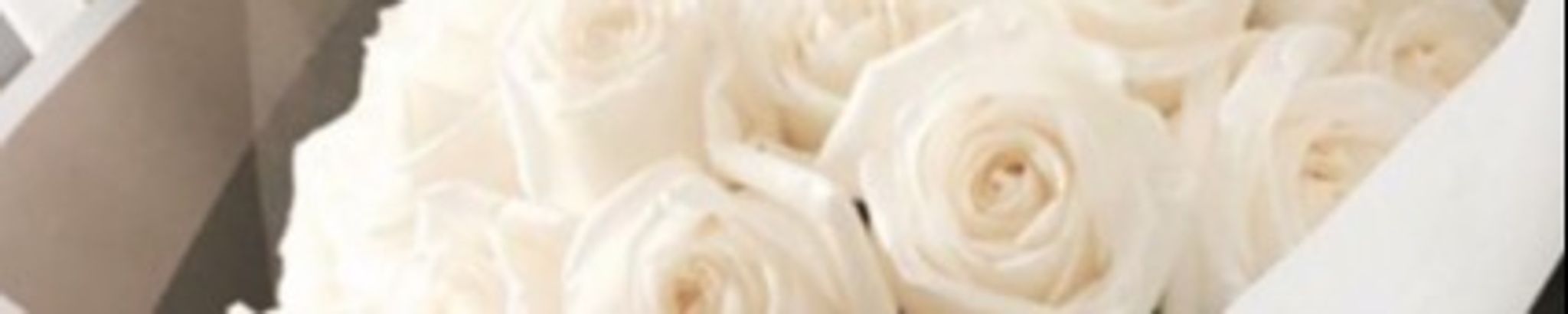 Cover photo for Maria Scavuzzo's Obituary