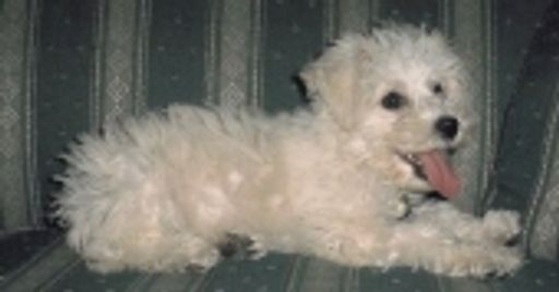 Margaret A. Stanke Profile Photo