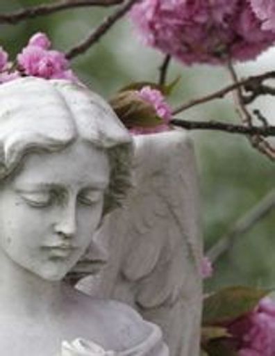 Sylvia Irene Anderson Profile Photo