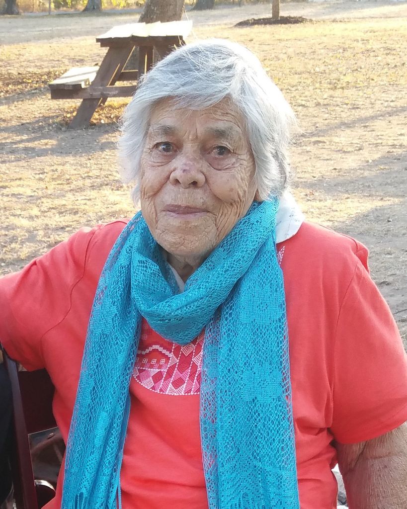 Rosa M Villarreal Profile Photo