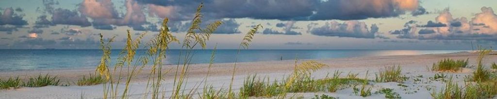 Cover photo for Patricia Raile's Obituary