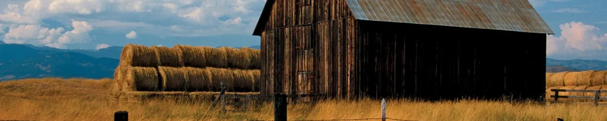 Cover photo for Leland  Gale Ernest's Obituary