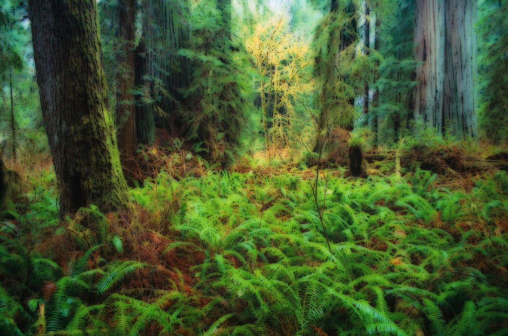 Willard "Popeye" E. Belcher