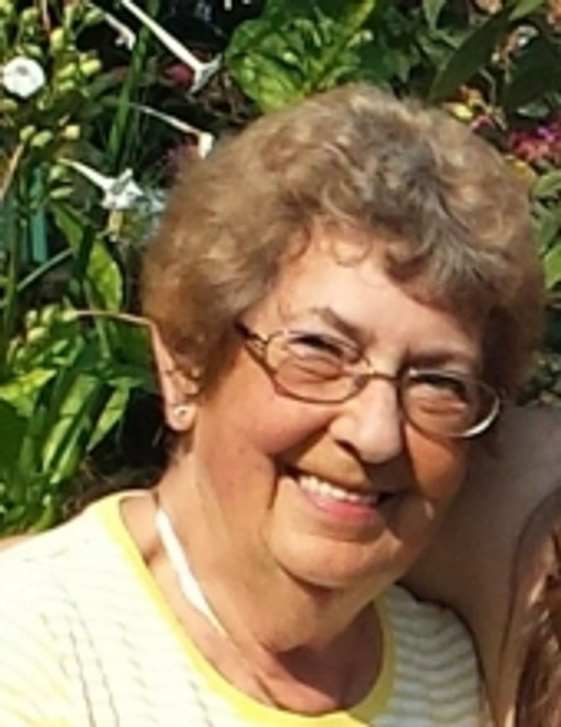 Carol Lois Martin