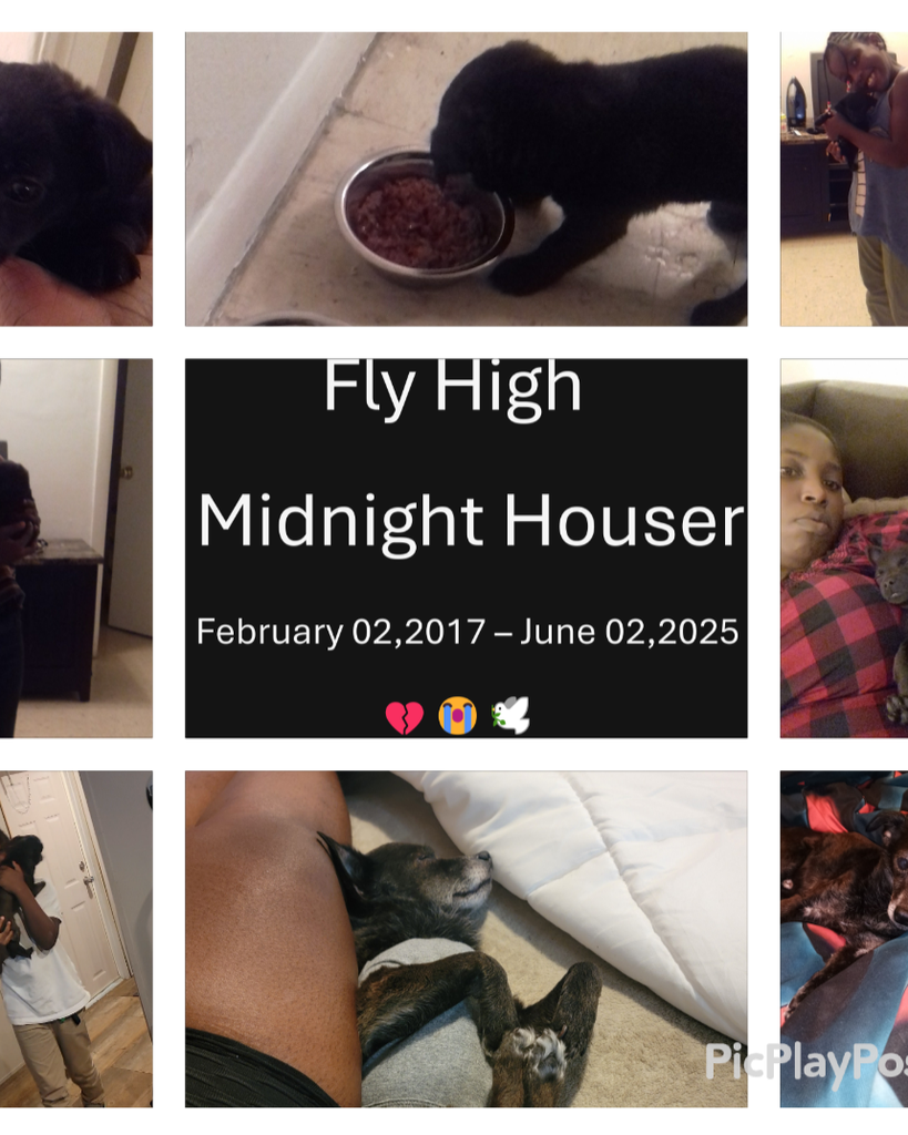 Midnight Houser Profile Photo