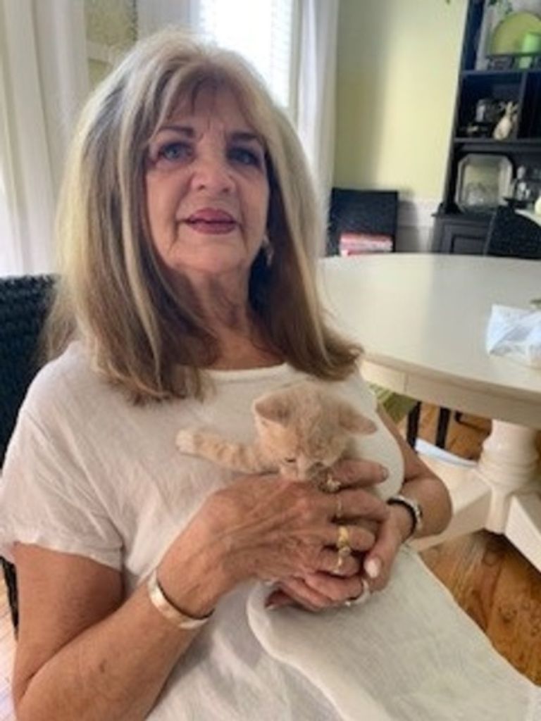 Linda Patrick Nicholas Profile Photo