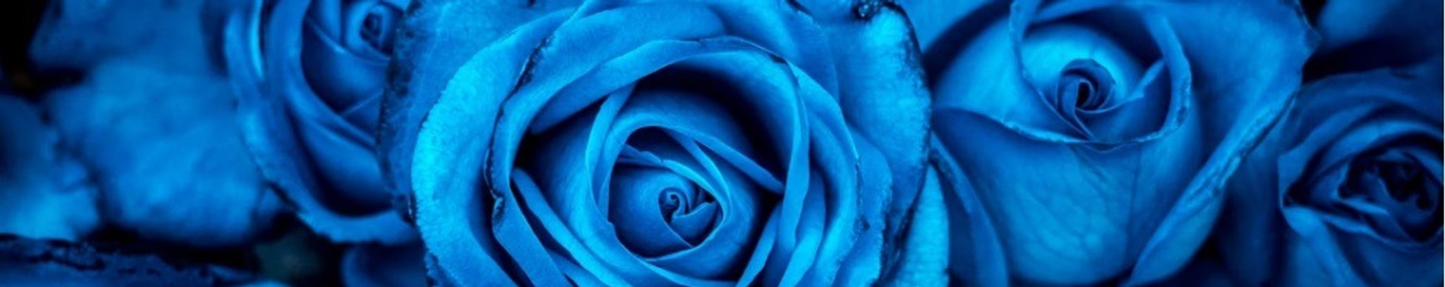 Cover photo for Cristina Castillo's Obituary