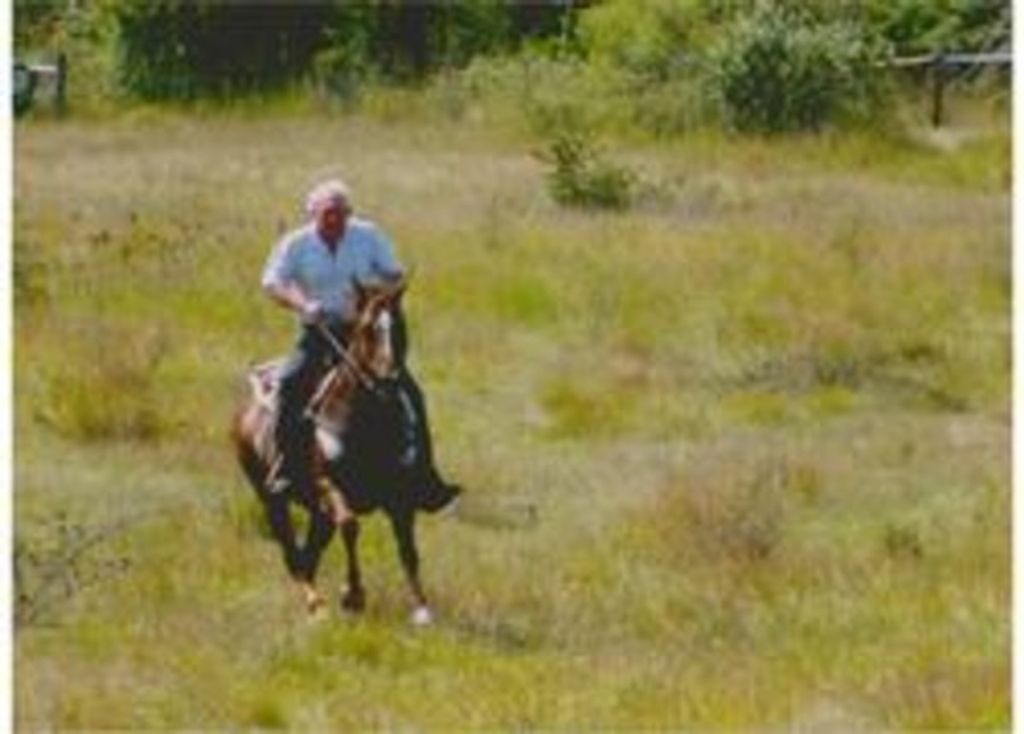 Thomas Doyle Brady Profile Photo