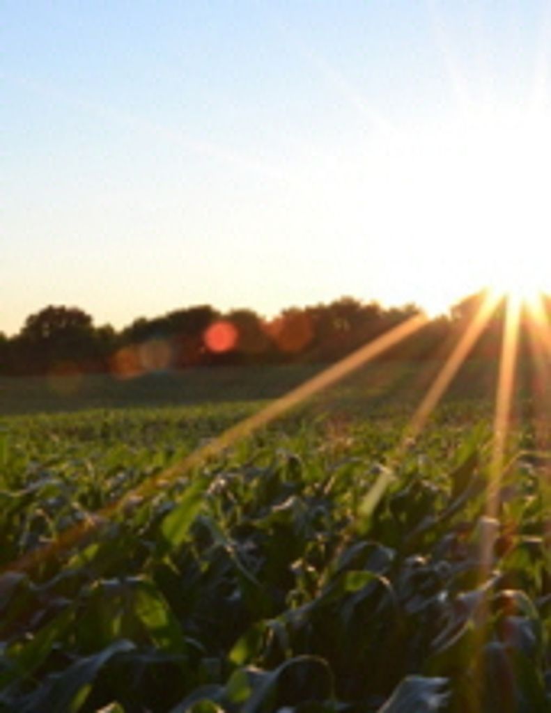 George John Christopher