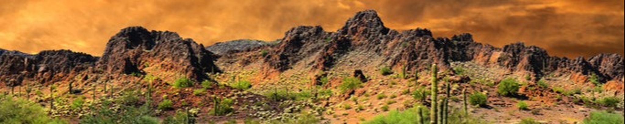 Cover photo for John Charles Demarest's Obituary