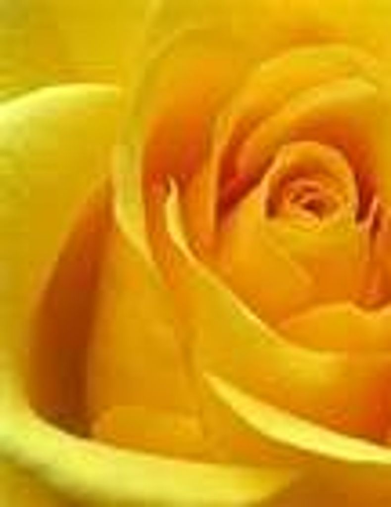 Marjorie Marcelle (Malott)  Cramer