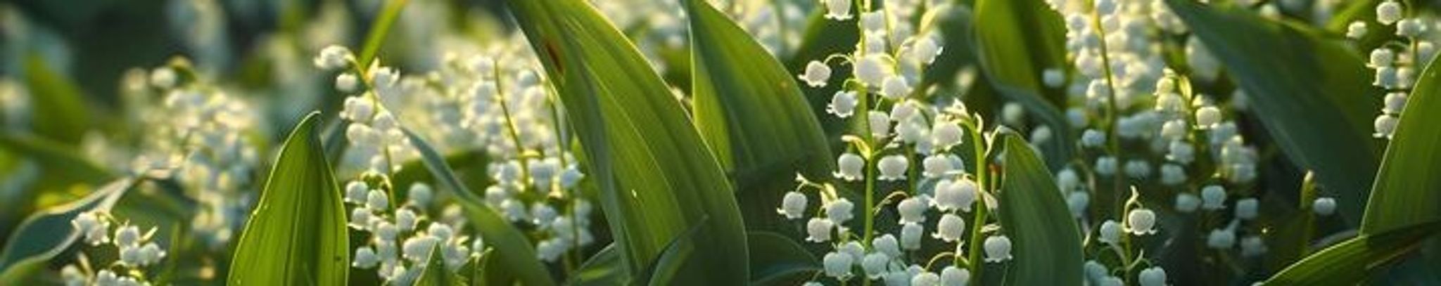 Cover photo for Thelma May Knode's Obituary