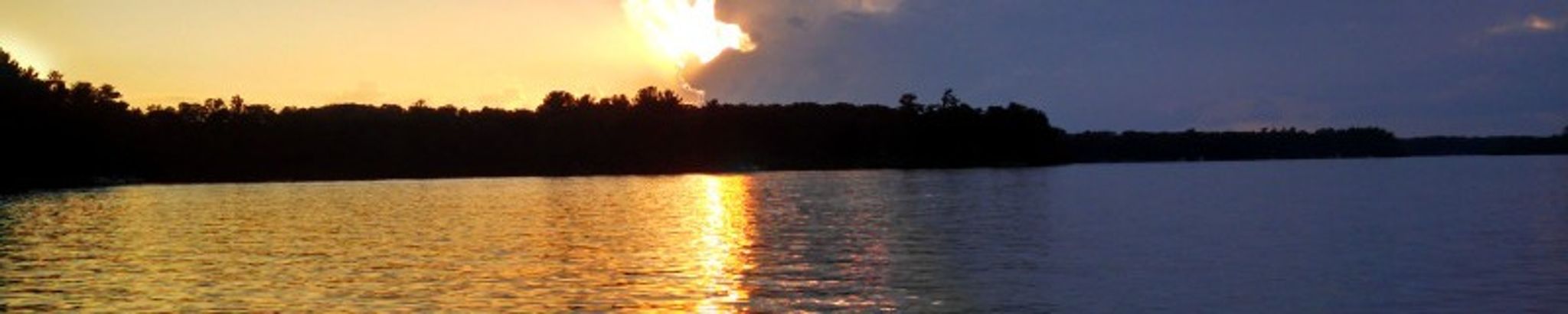 Cover photo for Delaine A Draper's Obituary