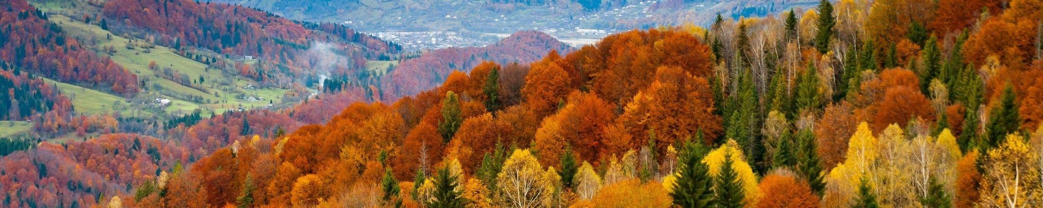 Cover for Margaret Jablonski's Obituary