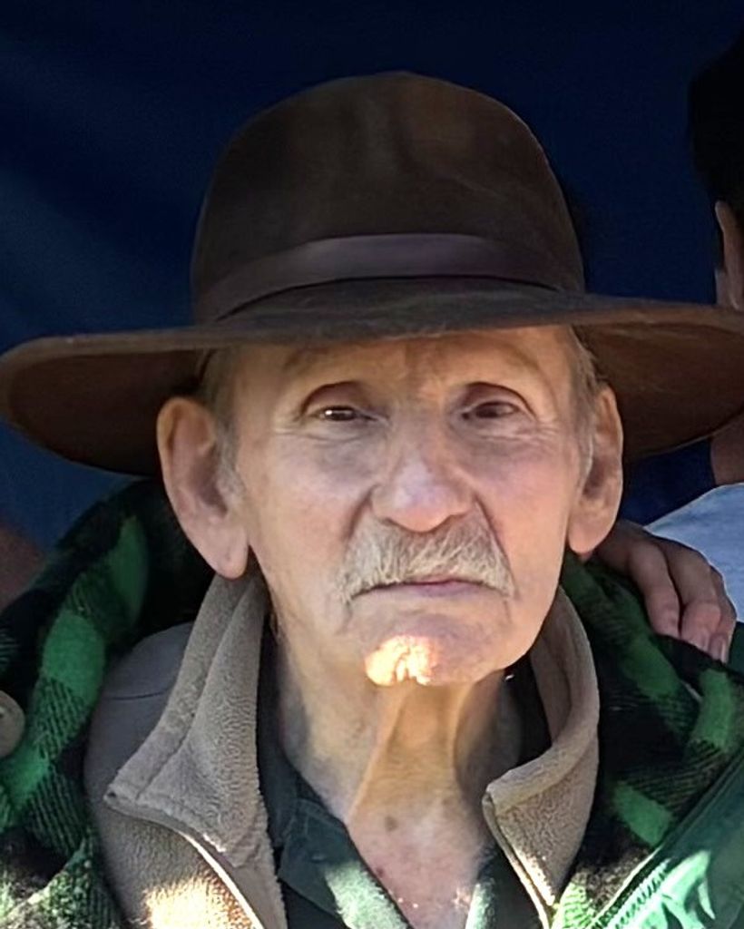 Robert P. DiBuono
