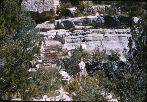Richard Harry Warnes photo gallery thumbnail 39 of 77