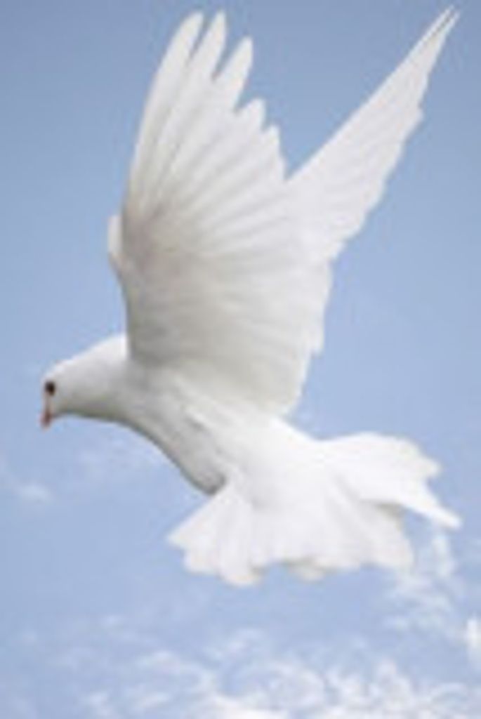 Judith  E. Rowell Profile Photo