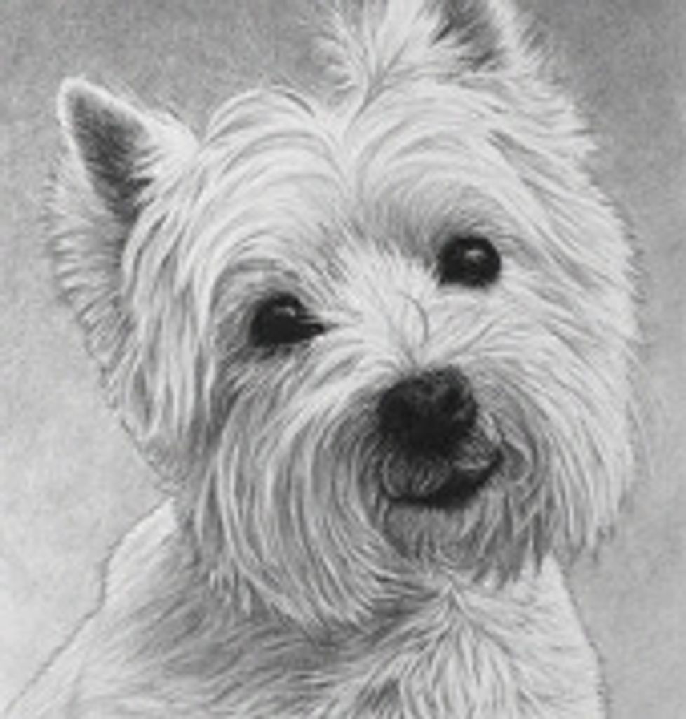 Mcdaniel Verhoeks Profile Photo