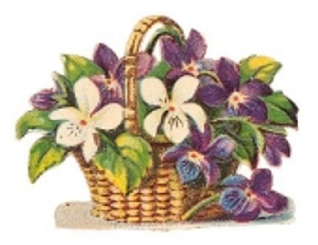 Rosalee J. Cogburn