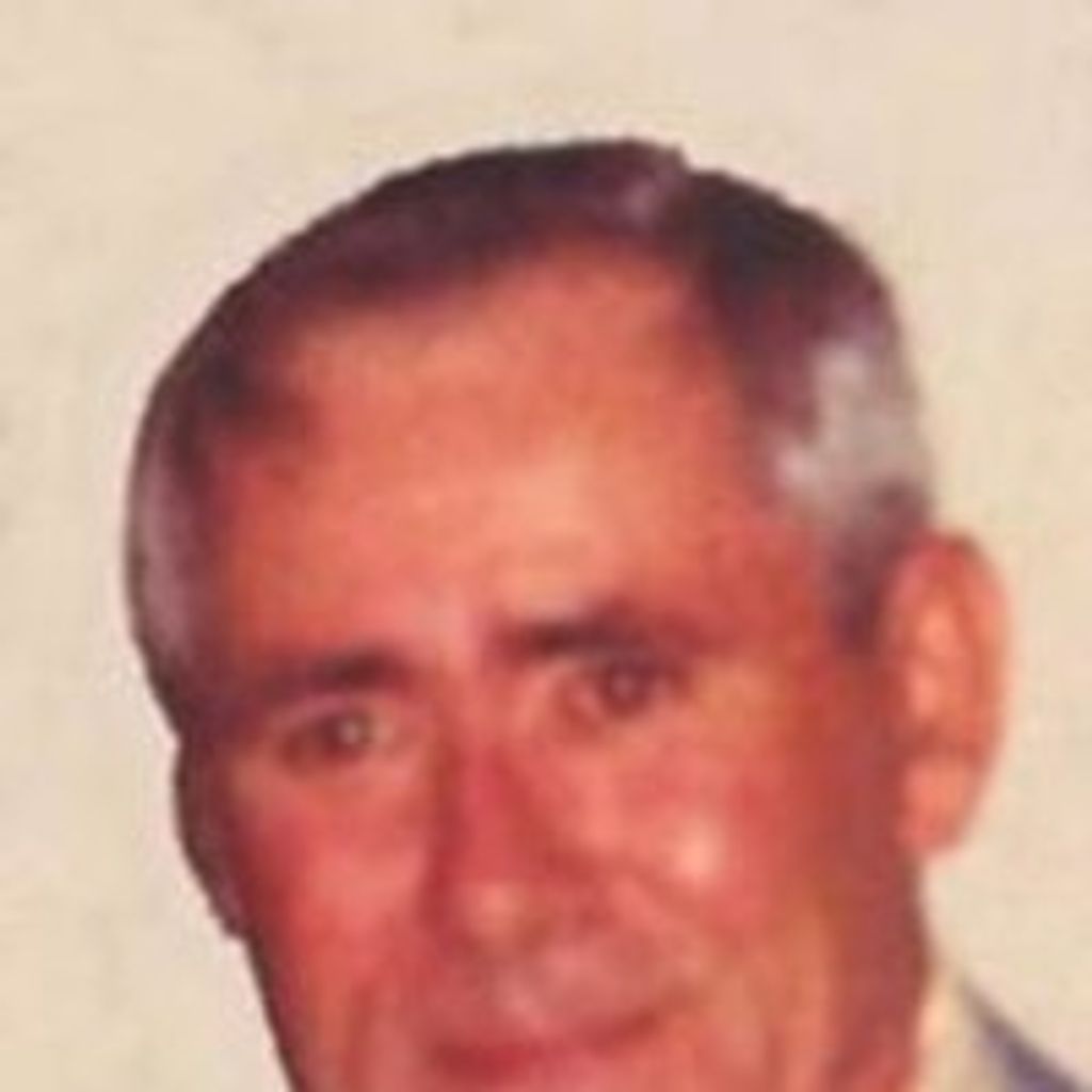 Bernard Nettekoven