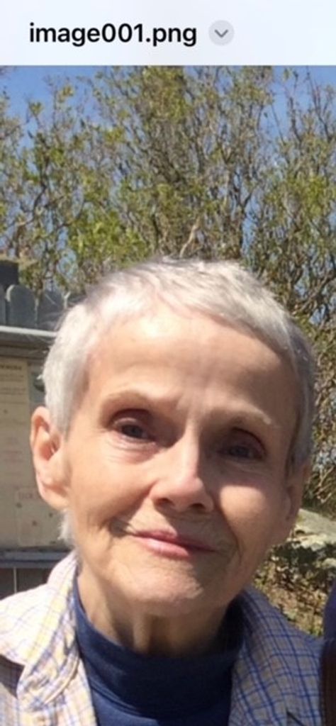 Annette Austin Profile Photo
