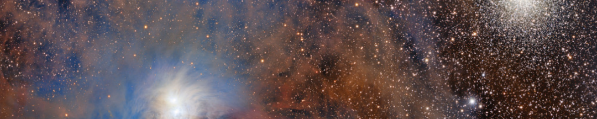 Cover for Nina J. Blackburn's Obituary